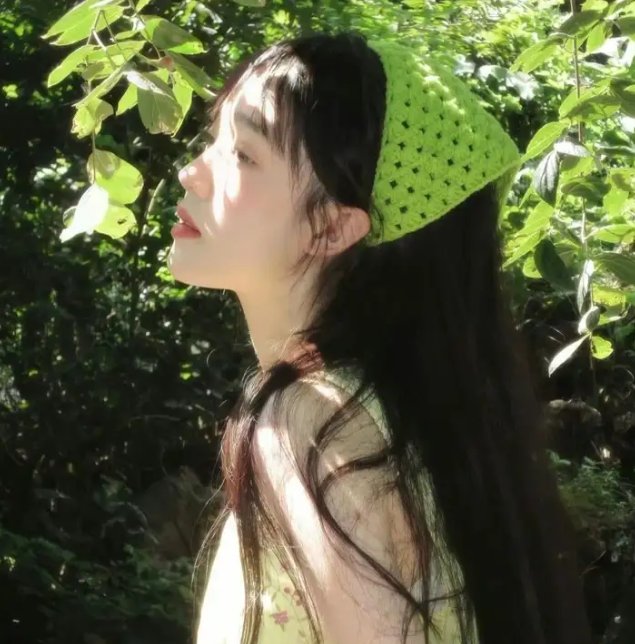 龙之家族